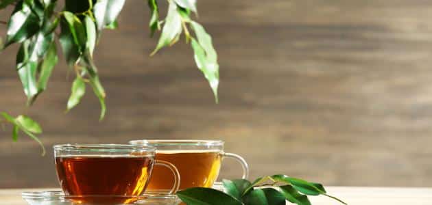 فوائد واضرار الشاي