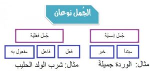أنواع الجمل في اللغة العربية
