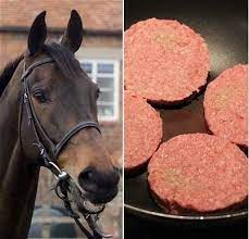 فوائد أكل لحم الحصان