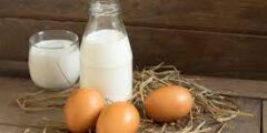 فوائد البيض مع الحليب