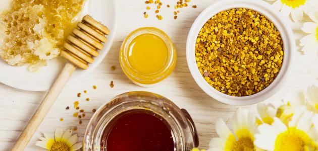 ما فوائد طلع النخل مع العسل للحمل